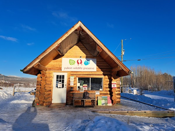 Yukon Wildlife Preserve 5