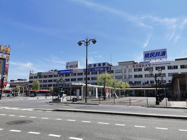 Niigata Station 5