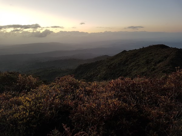 Pirongia Mountain 1