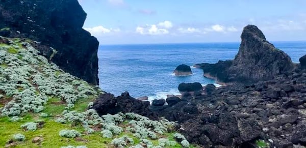 Orchid Island 3