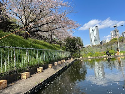 Ichigaya Fish Center