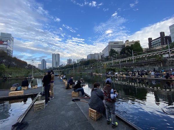 Ichigaya Fish Center 5