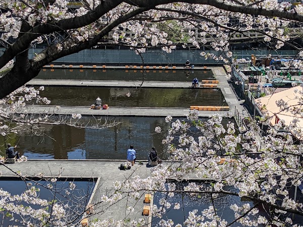 Ichigaya Fish Center 2
