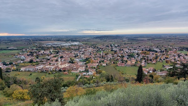 Cormons