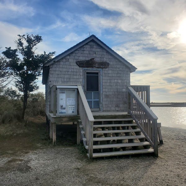 Assateague National Seashore Campground - Spot Bayside B33 1