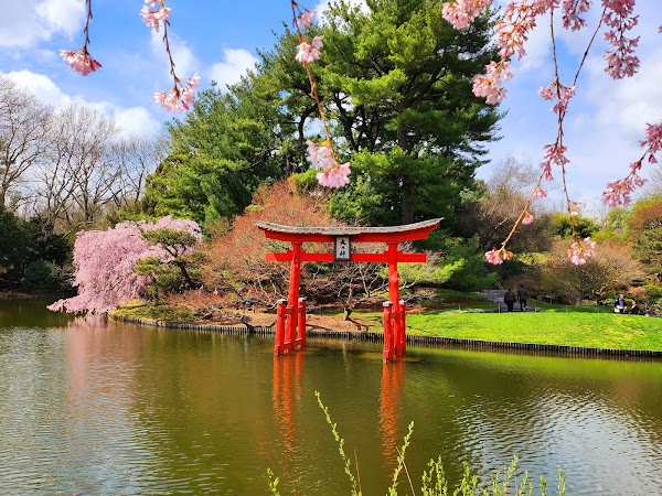 Japanese Hill-and-Pond Garden
