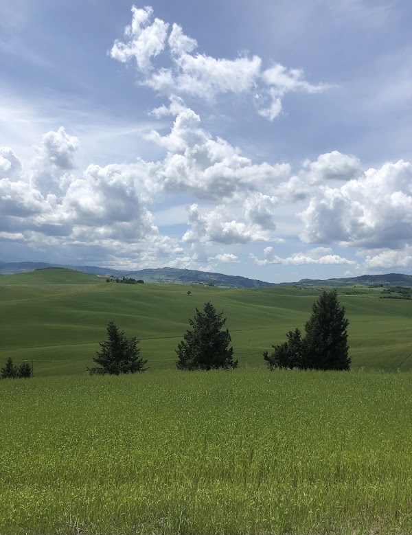 Podere Biancacamicia 5