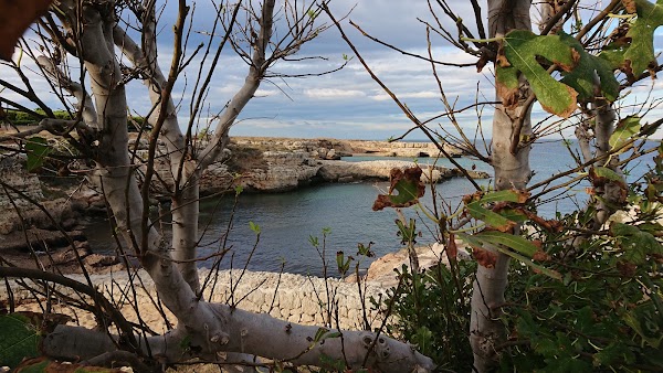 Grotta della Cala Tre Buchi 2