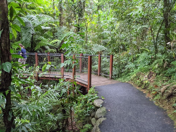 Babinda Boulders 2