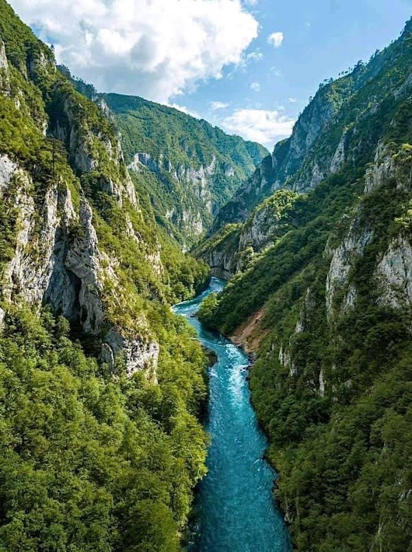Tara River