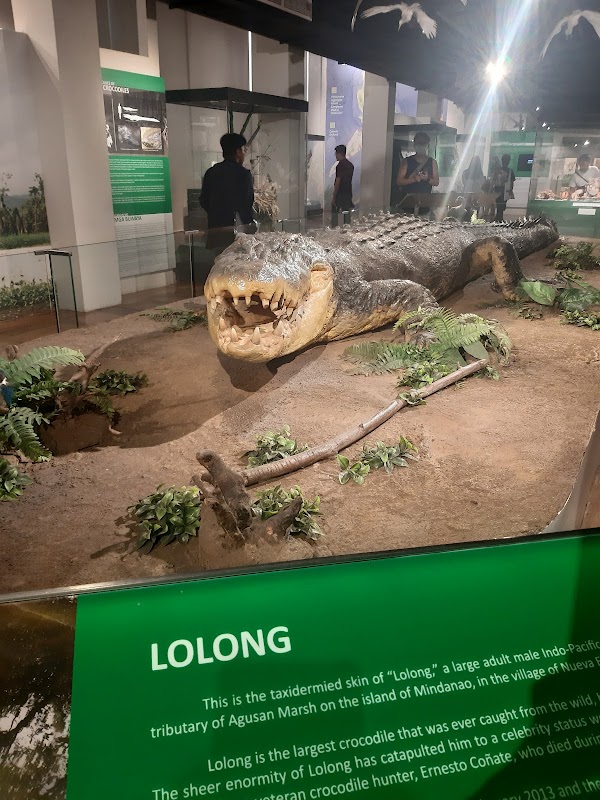 National Museum of Natural History 4