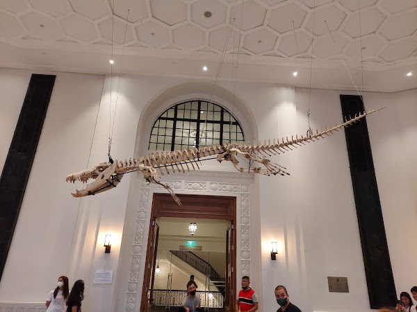 National Museum of Natural History 2