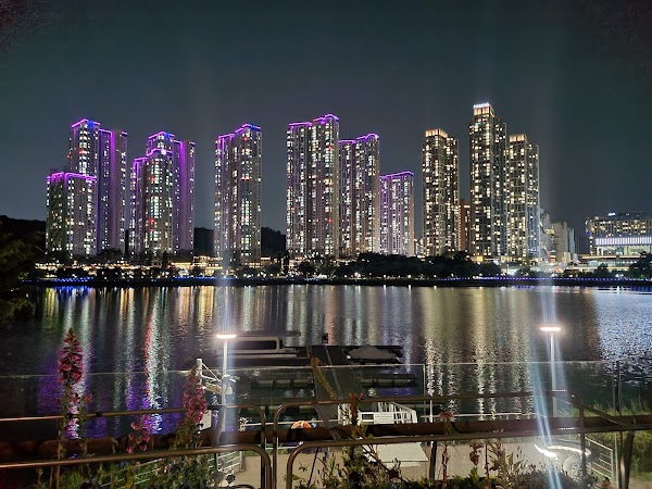 Cherry Blossom 🌸 39