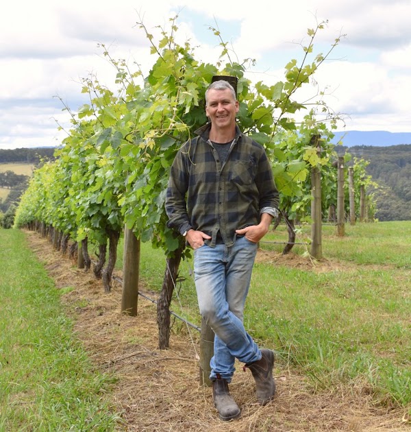 Tibooburra Vineyard (Solitude Estate Wines) 5