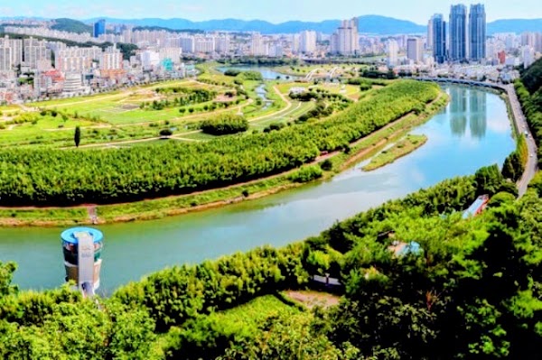 Taehwagang Bamboo Forest 3