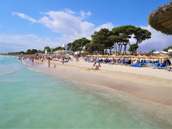 Alcúdia 4