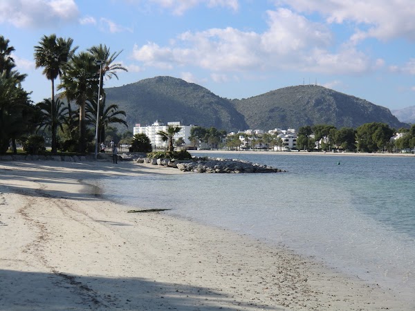 Alcúdia 3