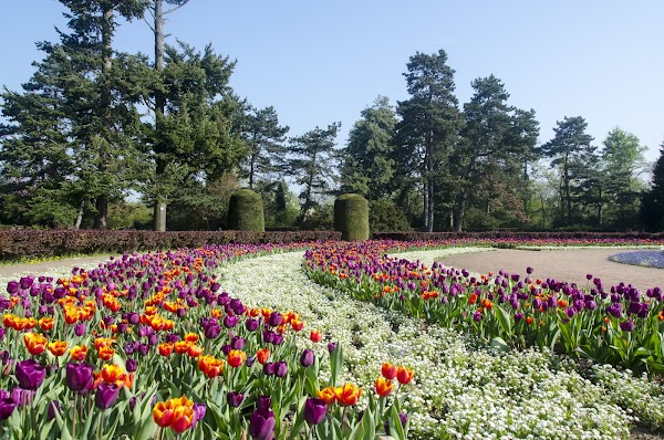Nord Park