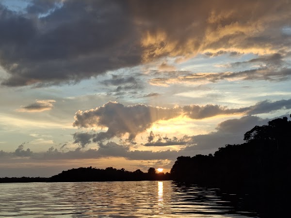 Parque Nacional das Anavilhanas 1