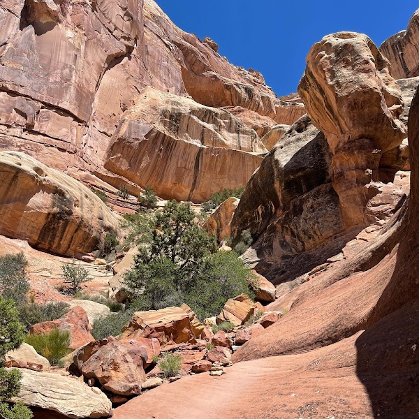 Druid Arch 5