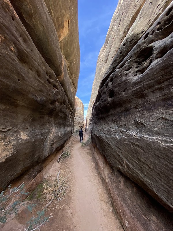 Druid Arch 4