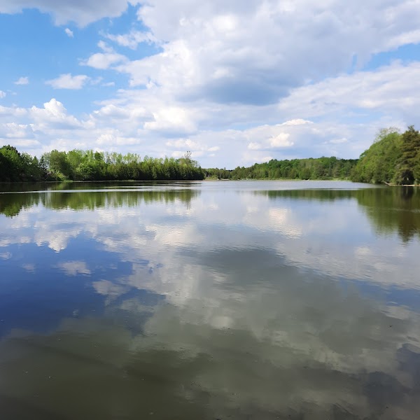 Holstein Dam 1