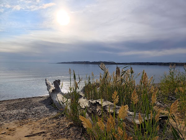 Ulungur Lake