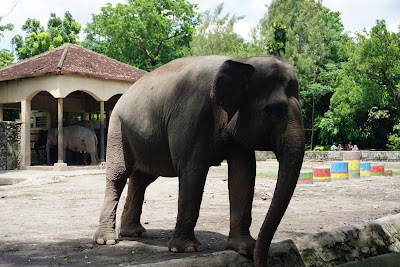 Gembira Loka Zoo