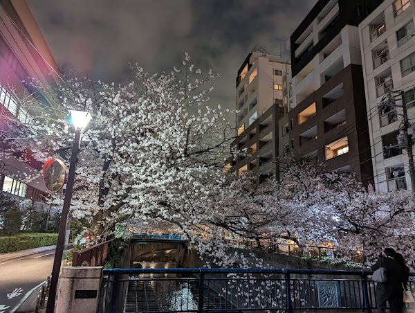 Nakameguro 5