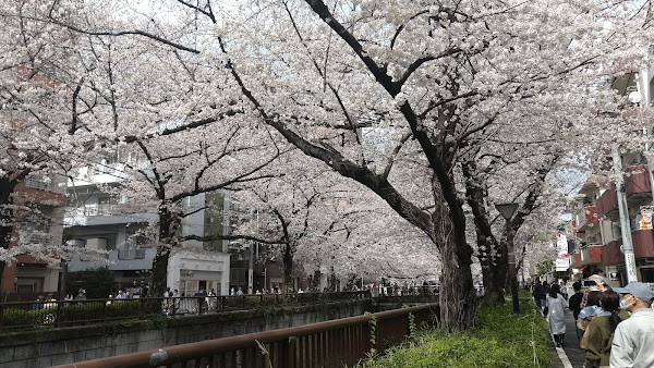 Nakameguro 4