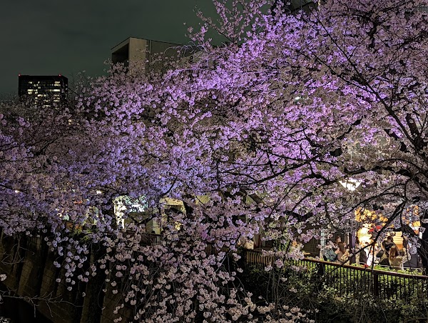 Nakameguro 2