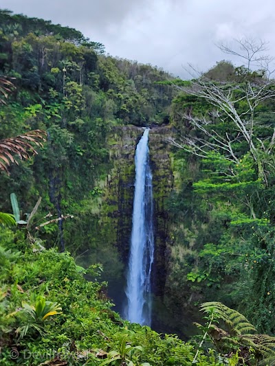 Akaka Falls State Park