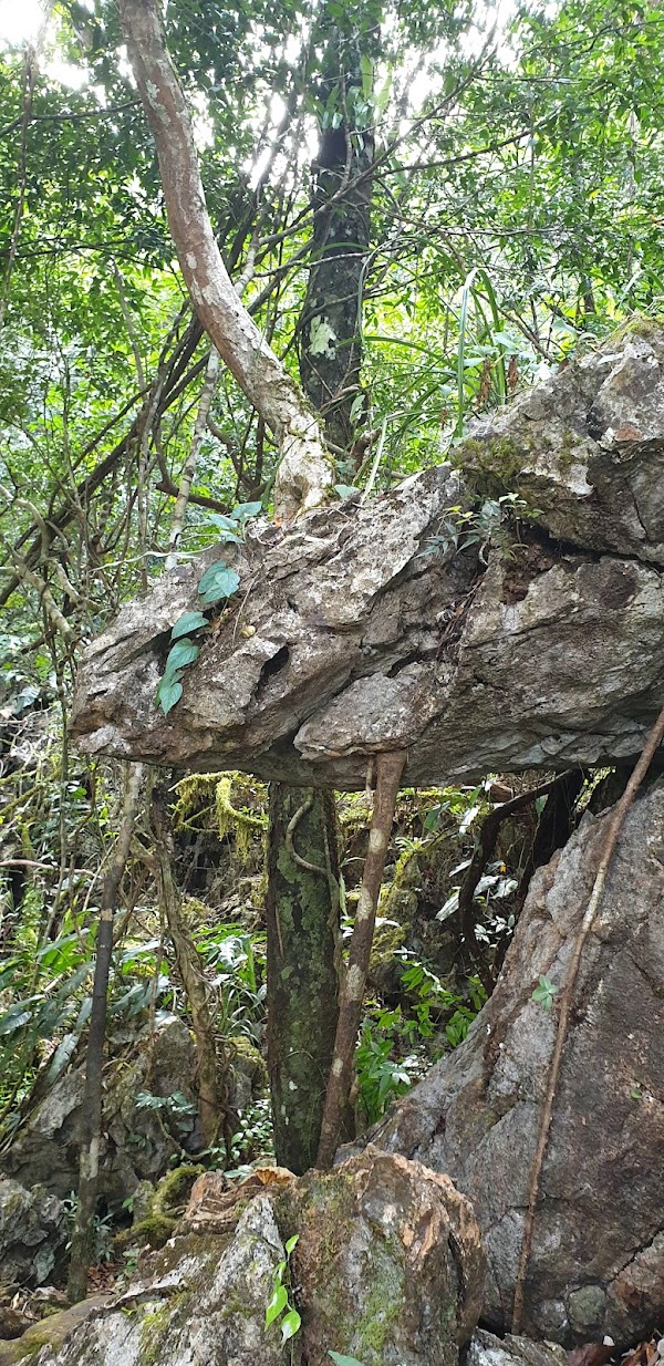 Thailand 28