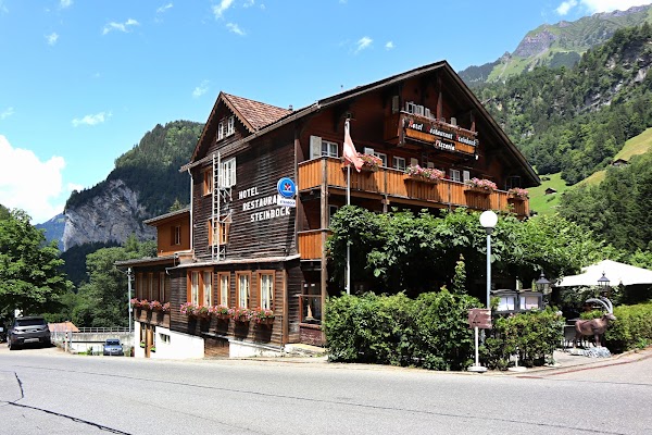 Hotel Steinbock