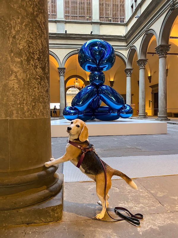 Strozzi Palace 3