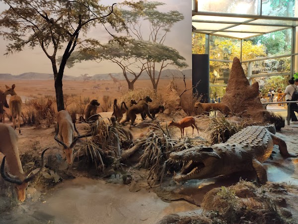 Shanghai Science and Technology Museum 3