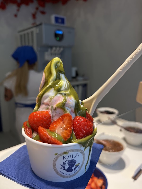 KALA Greek Frozen Yogurt 2