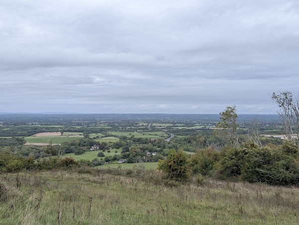 Newtimber Hill 4