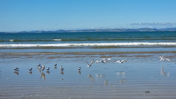 Tokerau Beach 4