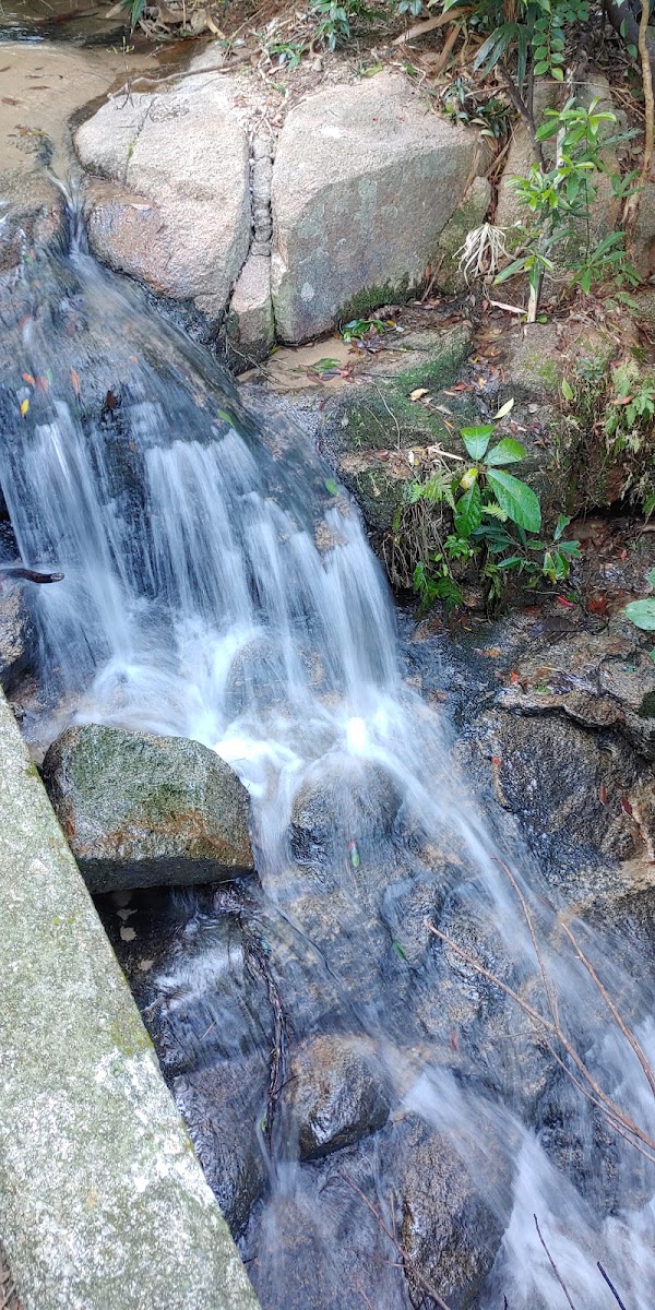 Tai Tam 4