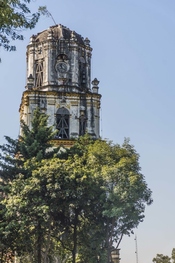 Coyoacán 5