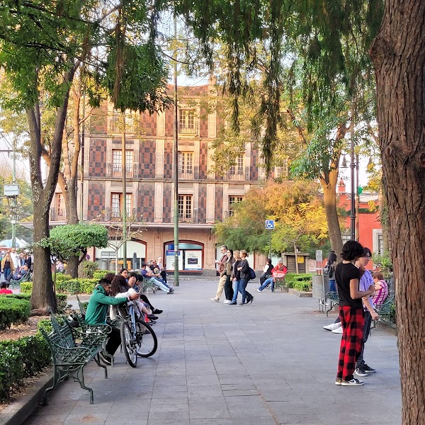 Coyoacán 4