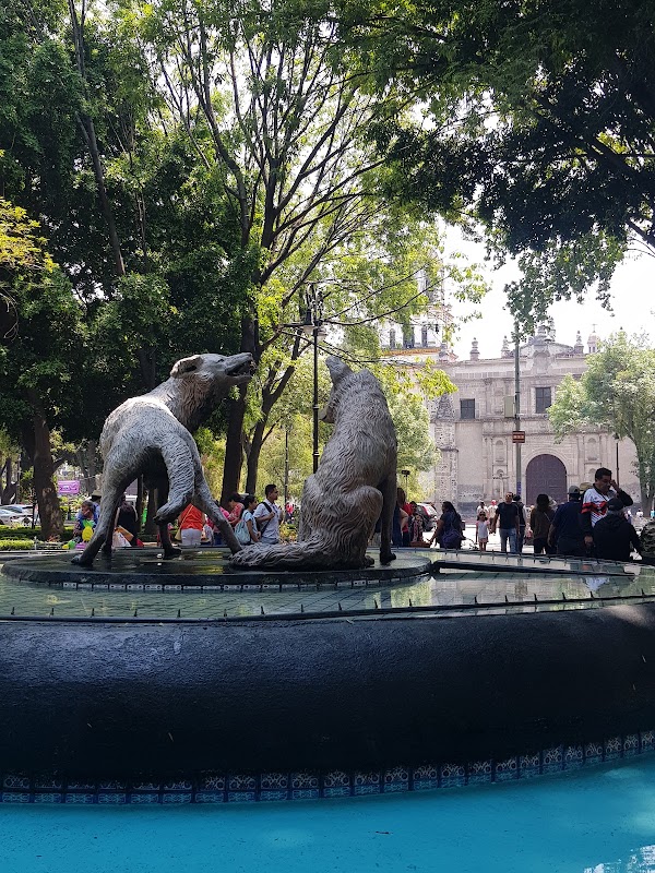 Coyoacán 3