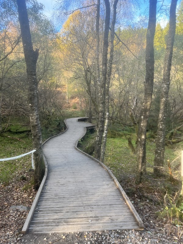 The Lodge Forest Visitor Centre