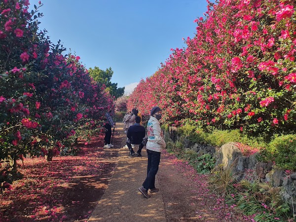 Camellia Hill Botanical Garden 1