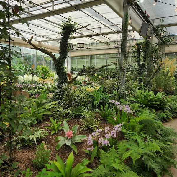 Camellia Hill Botanical Garden 2