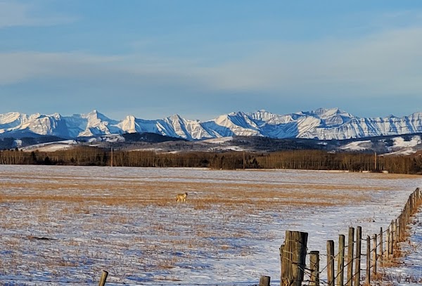 Longview