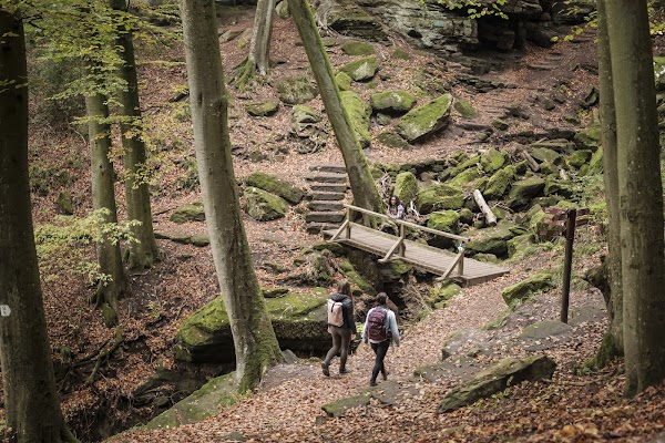 Mullerthal Trail 1