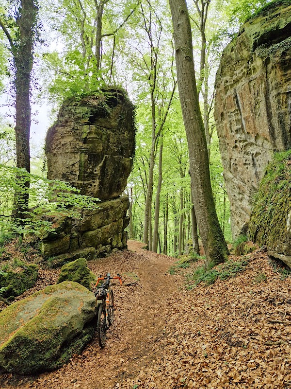 Mullerthal Trail 5