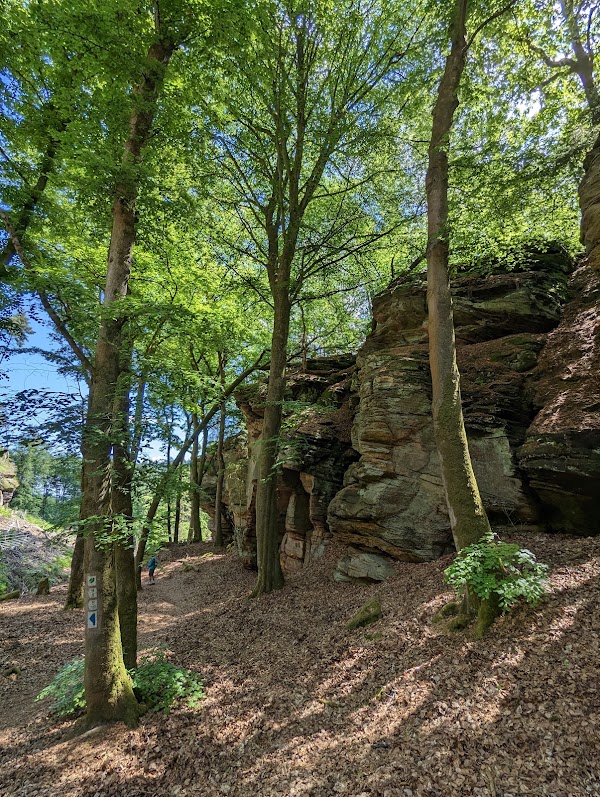 Mullerthal Trail 3